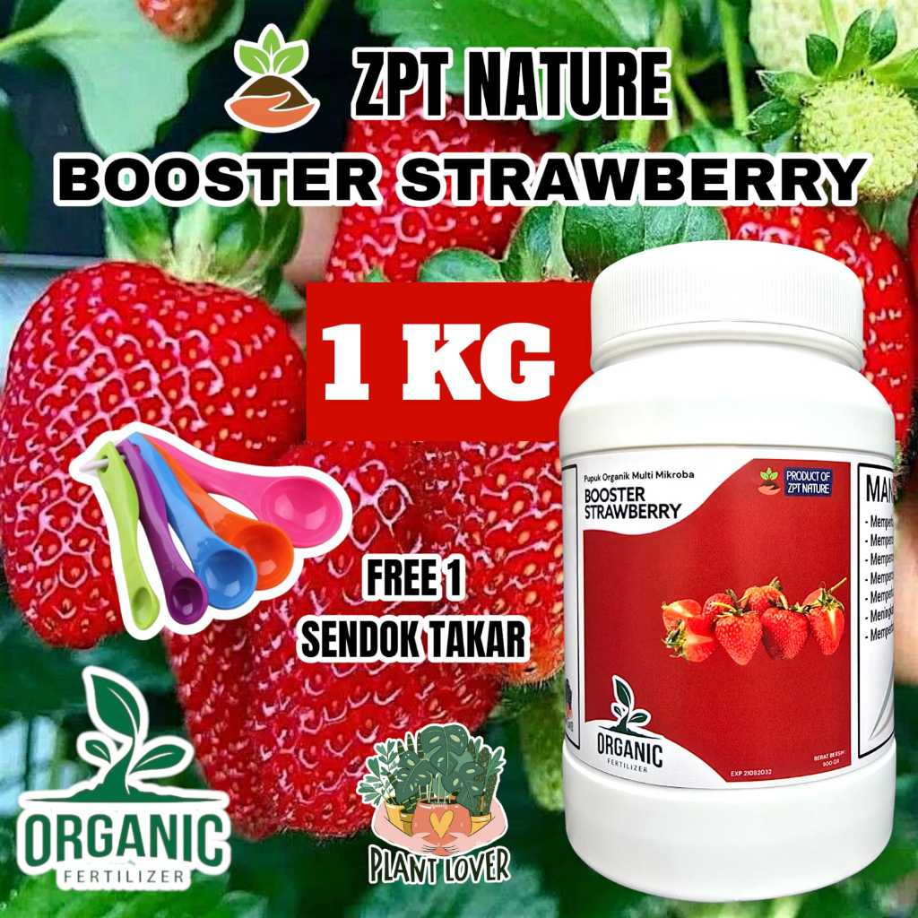 Pupuk organik booster buah tanaman strawberry 1 kg bonus sendok takar buah lebat manis