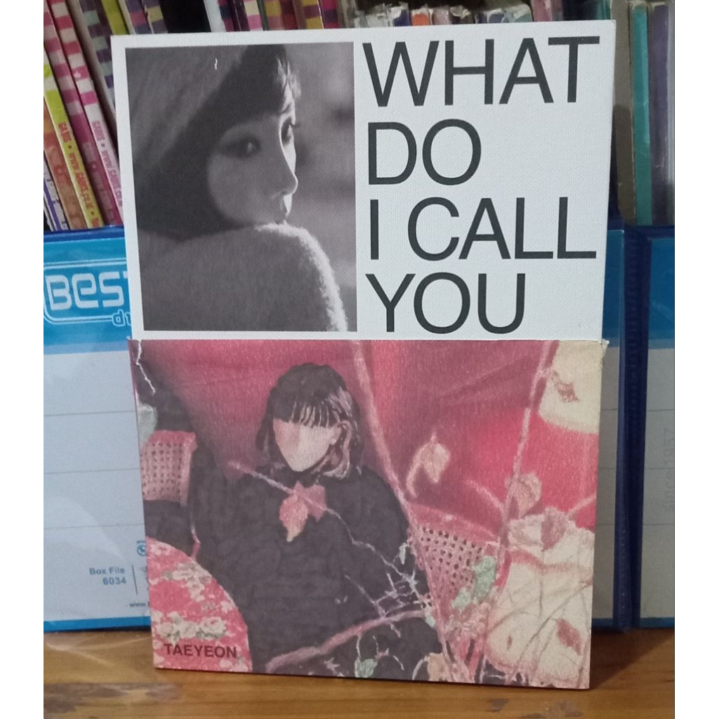 Taeyeon - what do I call you (unsealed)