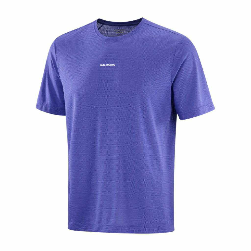 Salomon Men's Shakeout Core SS Tee