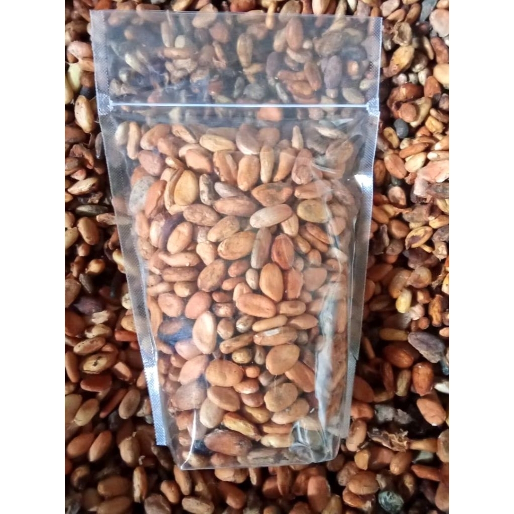 Biji cacao/Coklat. Hasil Bumi Full