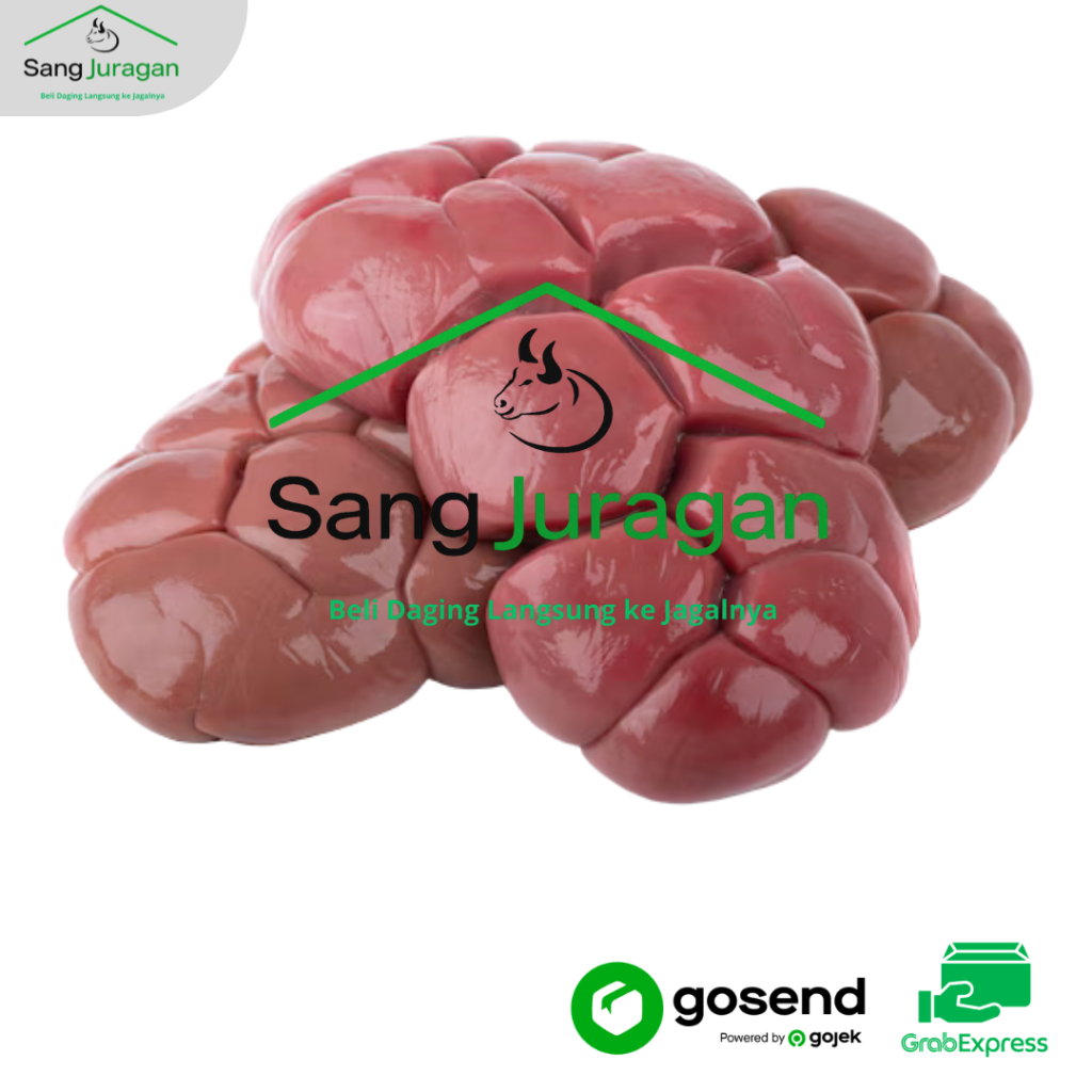 GINJAL SAPI SAPI LOKAL PREMIUM LANGSUNG JAGALNYA