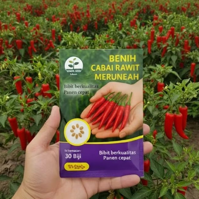 BENIH CABE RAWIT MERAH