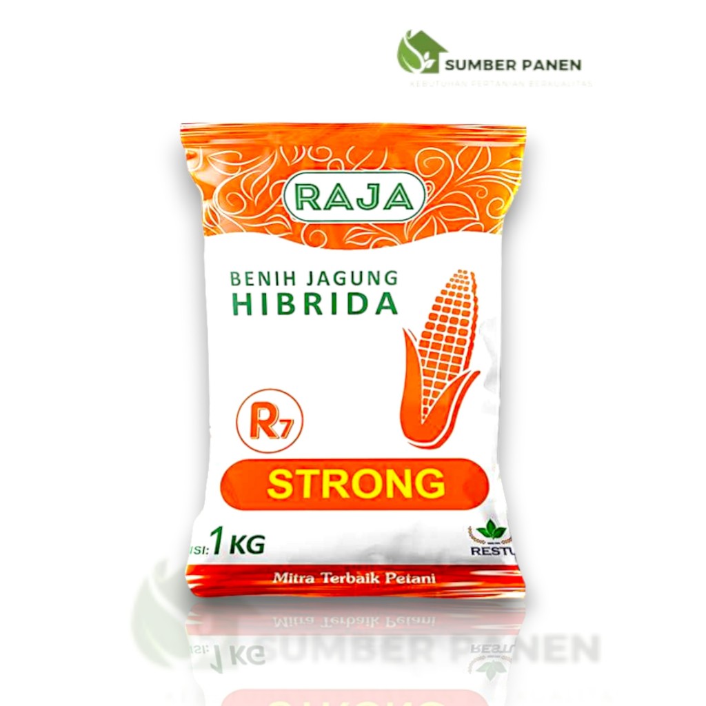 Benih Jagung Hibrida Raja R7 Strong 1kg Produktivitas Tinggi