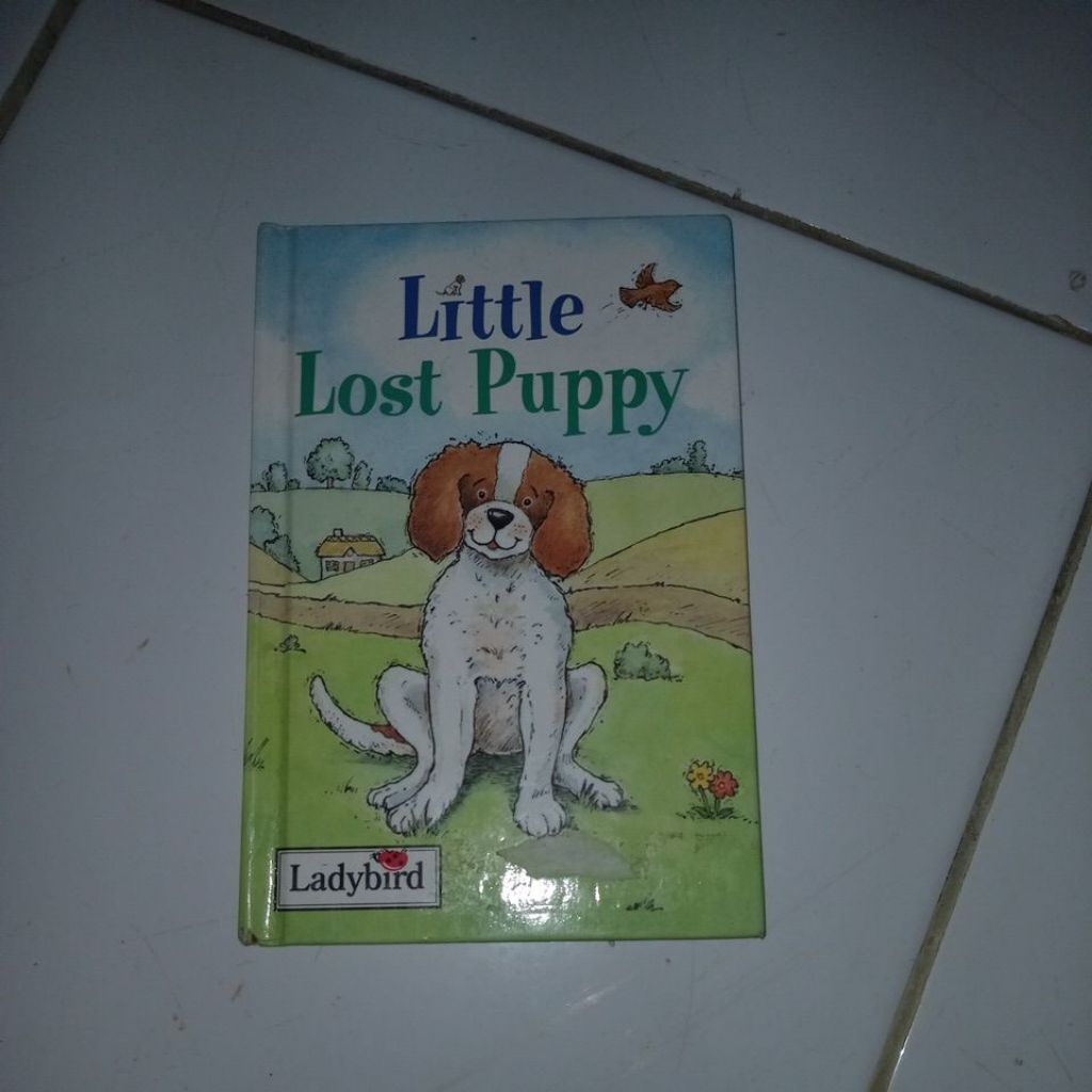 buku ladybird little lost puppy