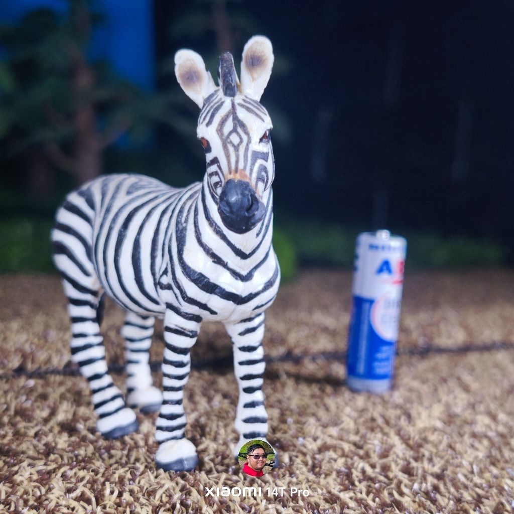 2008 safari Ltd zebra figure