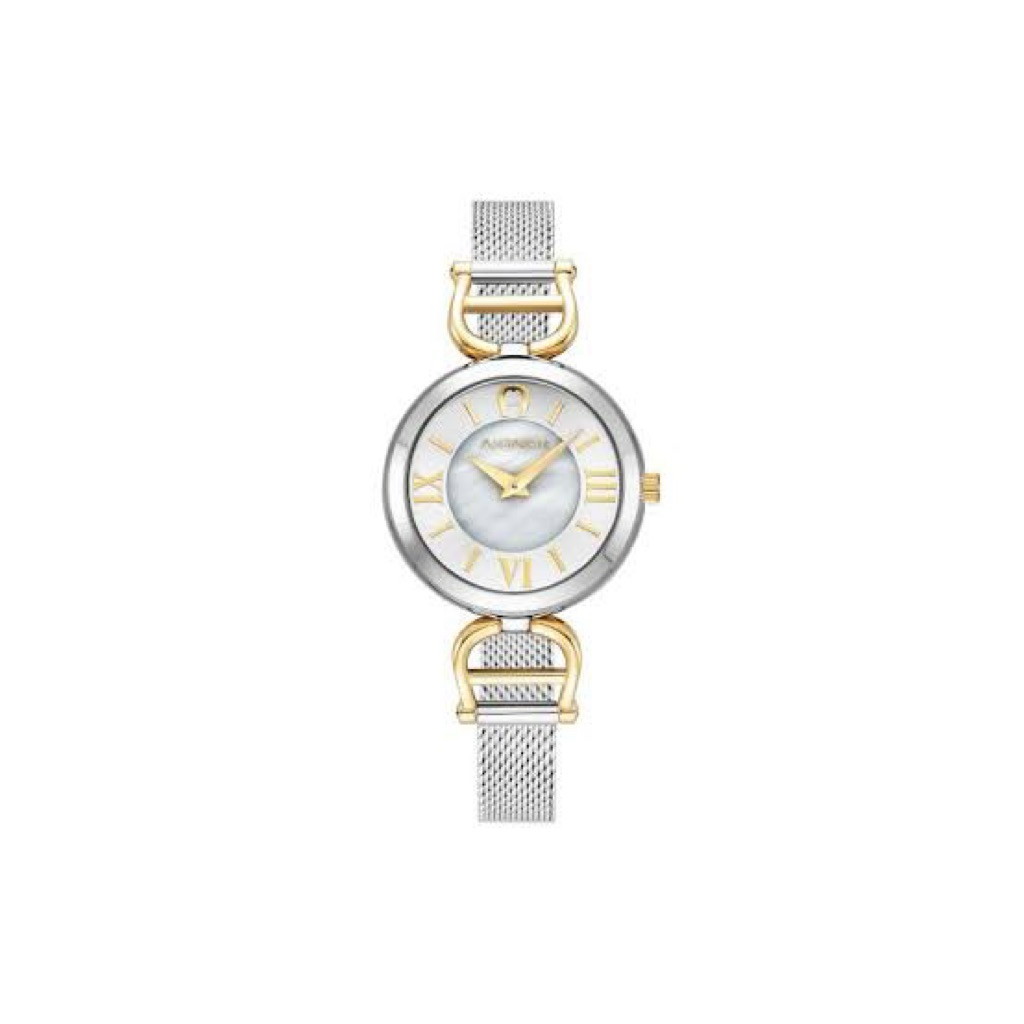 Aigner Pavia 2 women silver watch