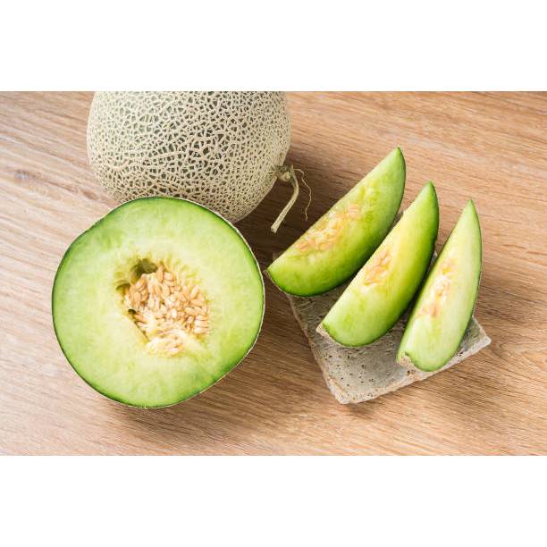 GUDANG BENIH - BENIH MELON MADU HIJAU