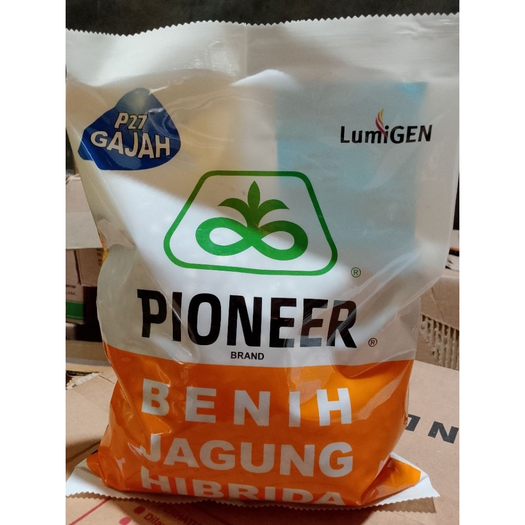 Benih jagung hibrida P27 Gajah