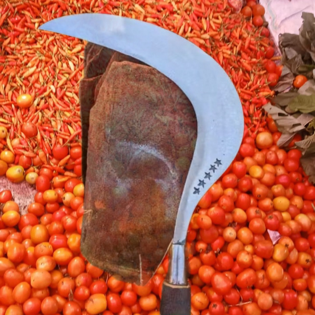 alat tani khas madura sabit besar aret rumput cap bintang lima