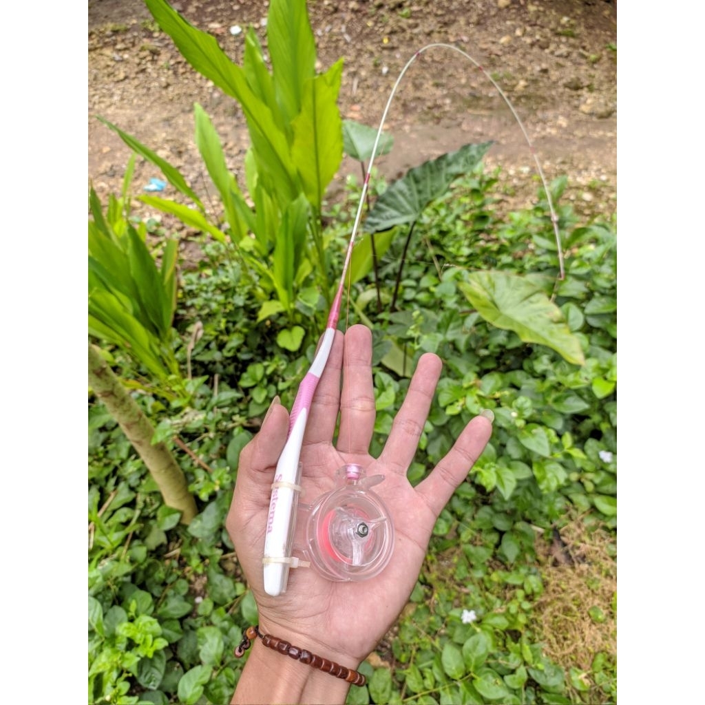 Joran fiber lentur wader