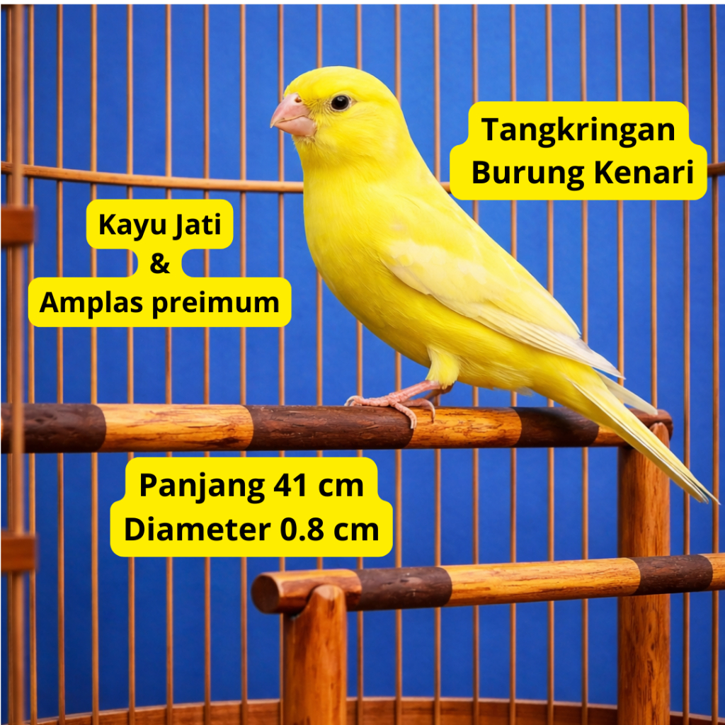Ebod Jaya Tangkringan Burung Kenari  Kayu Jati Amplas Premium – Merek Ebod Jaya untuk Sangkar Kandan