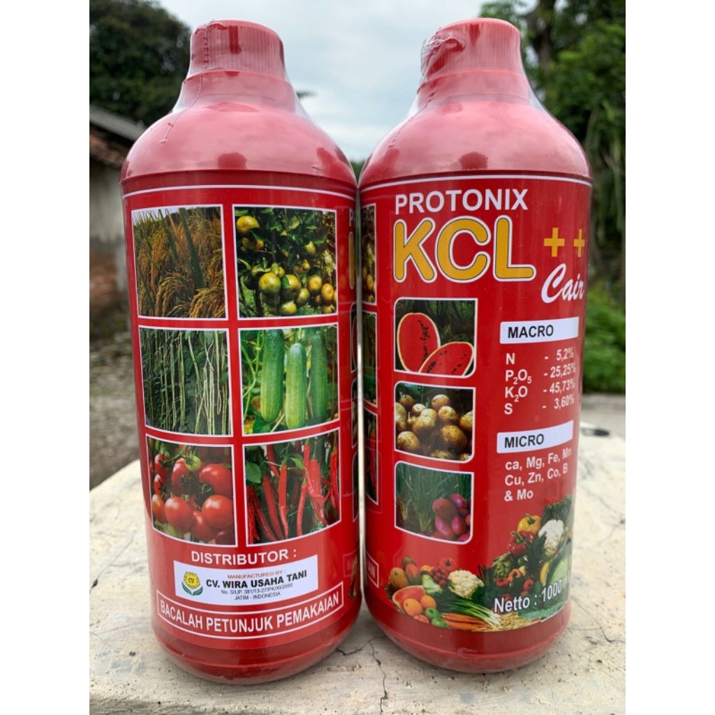 PUPUK KCL CAIR 1 Liter PEMBESAR BUAH