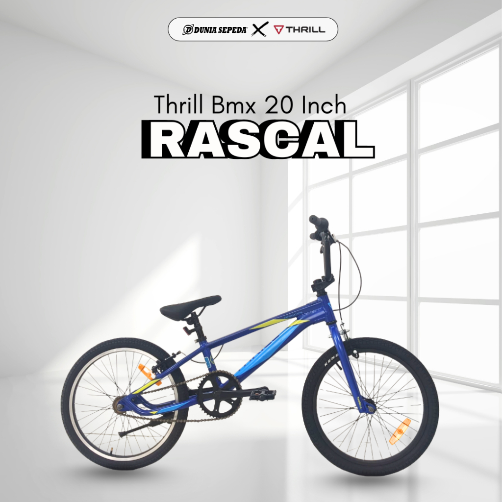 SEPEDA BMX 20 INCH THRILL RASCAL FRAME ALLOY