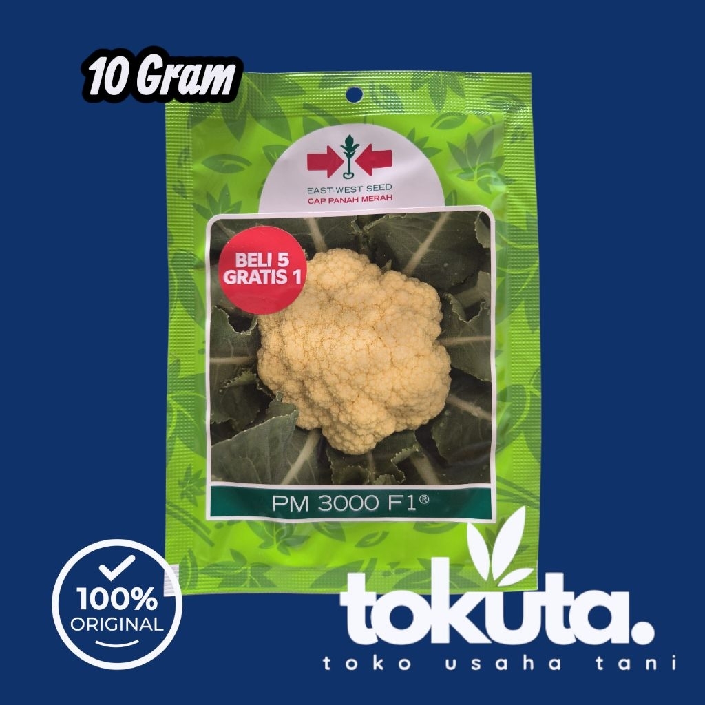 ( Beli 5 Gratis 1 ) PM 3000 ( PM3000 ) F1 10 Gram Benih Kembang Kol Cap Panah Merah