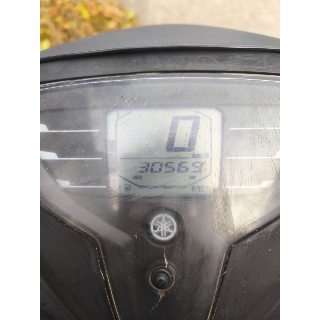 YAMAHA FREEGO S 2019