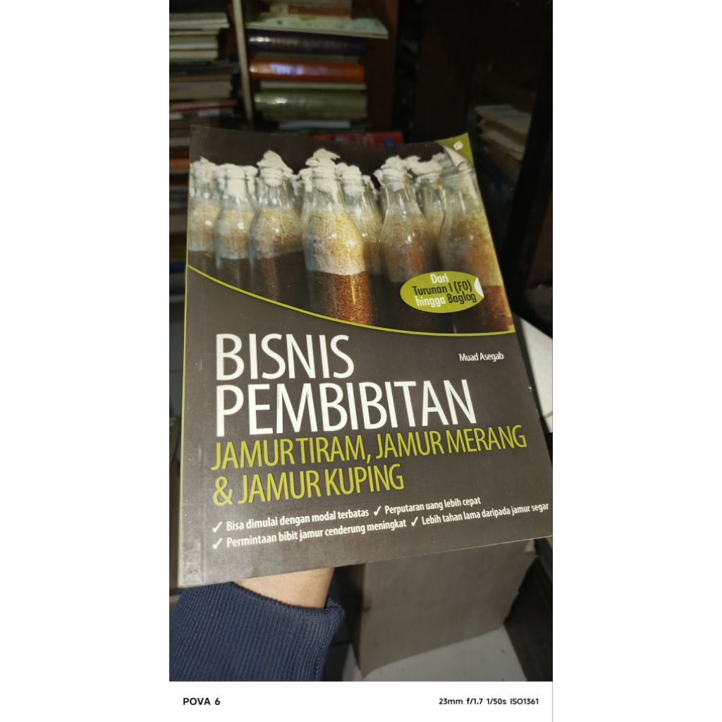 BISNIS PEMBIBITAN JAMUR TIRAM JAMUR MERANG DAN JAMUR KUPING