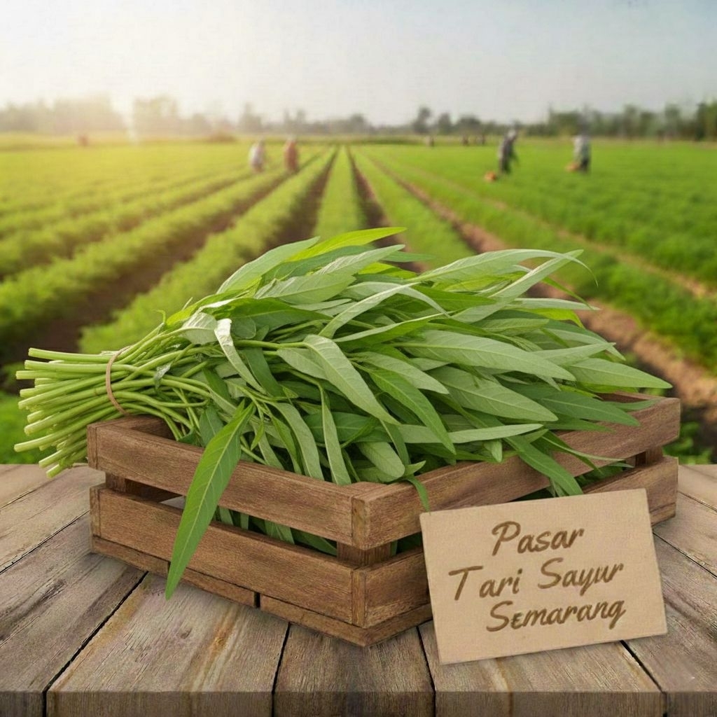 Sayur Kangkung 1 Ikat Segar Fresh Setiap Hari - Pasar Tari Sayur Semarang
