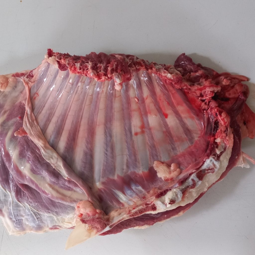 Iga dan punggung Kambing 1kg