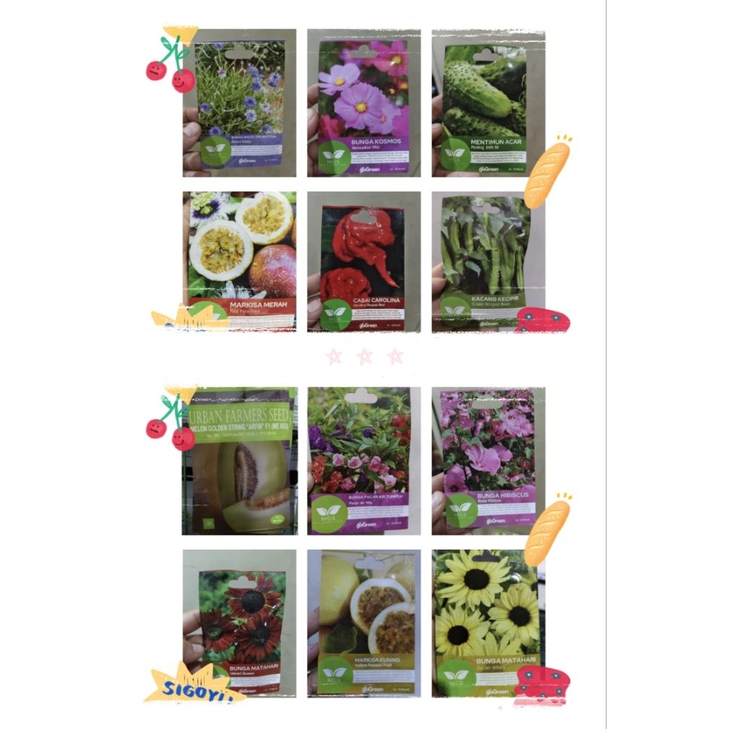 Benih Kecipir, carolina reaper, pacar air, bunga cosmos sensation, markisa merah markisa kuning, tim