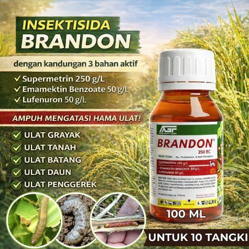Brandon Insektisida Pembasmi Ulat Grayak Bawang Merah Ulat Tanah, Ulat Daun, Penggerek, Sundep Obat 