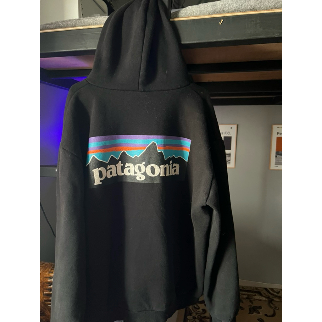 hoodie patagonia