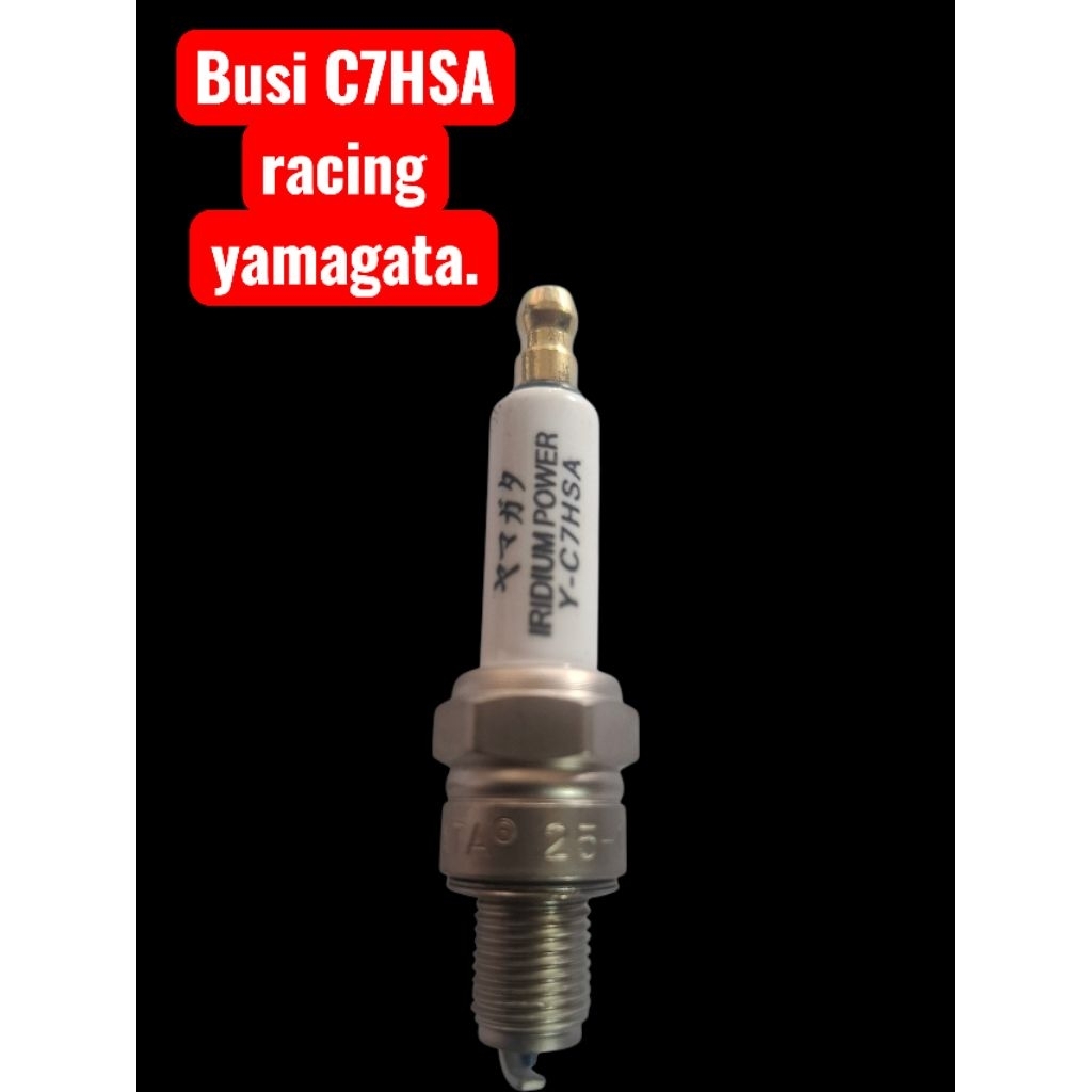 BUSI YAMAGATA RACING PLATINUM model C7HSA