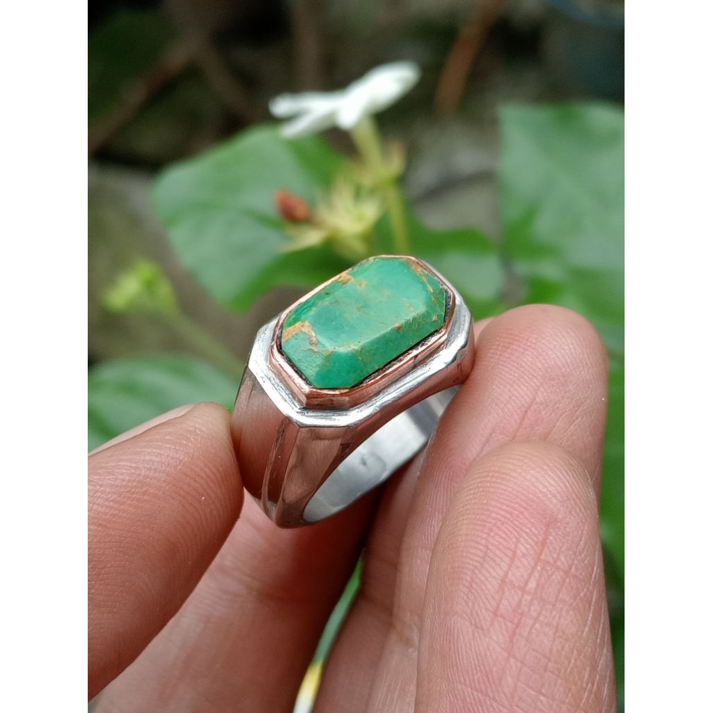 pirus Persia hijau urat mas 0005
