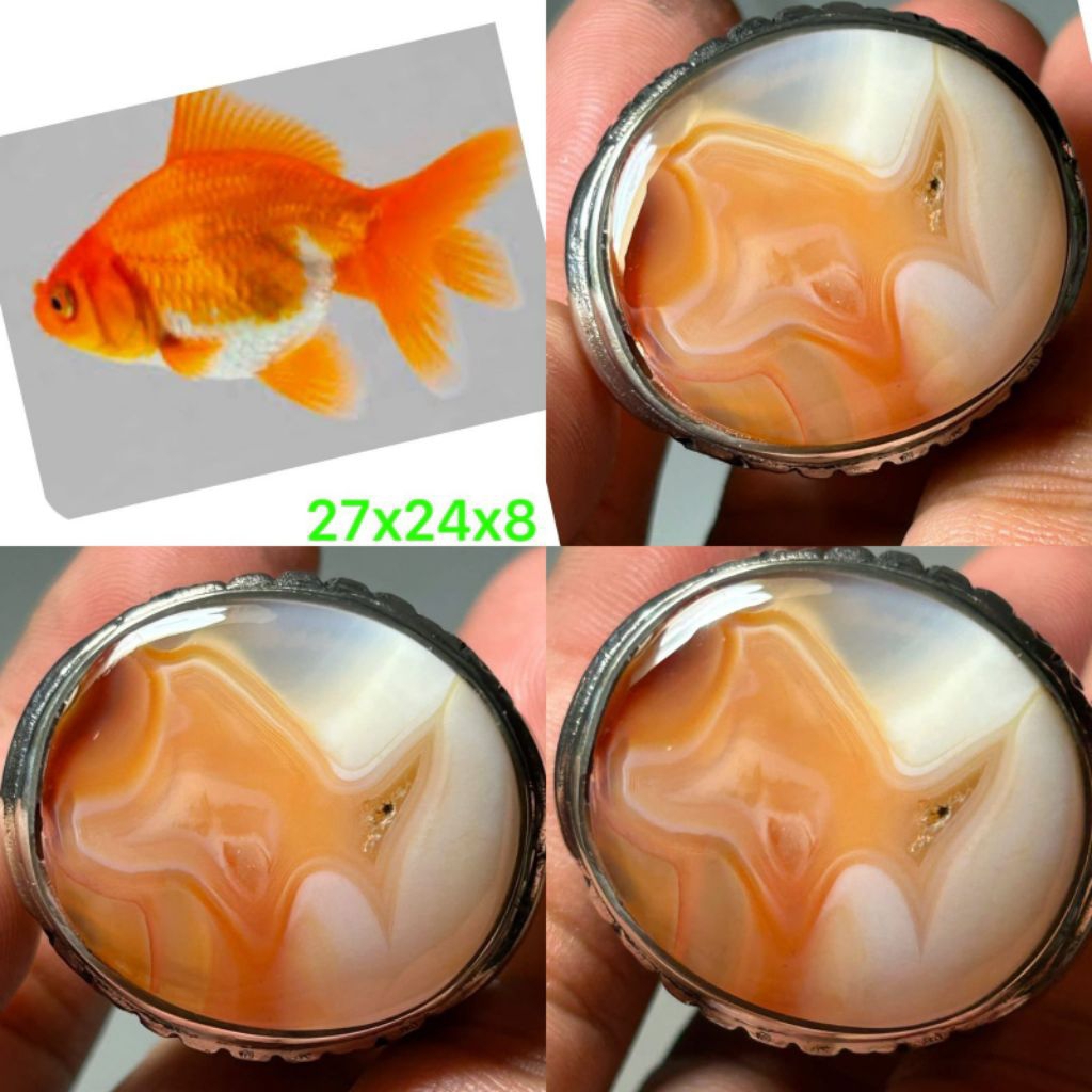 NATURAL CINCIN BATU AKIK MOTIF IKAN