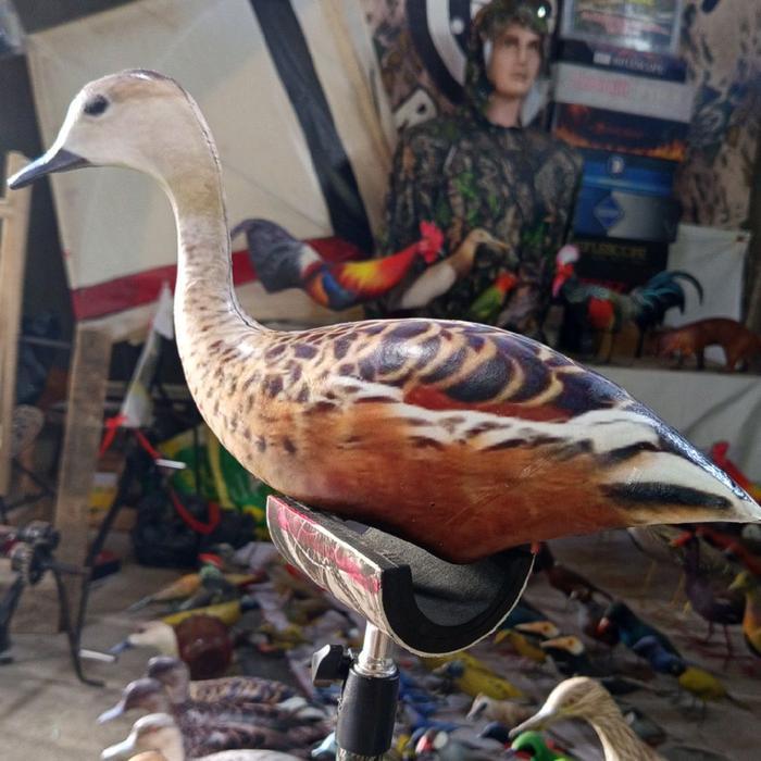 JONTROT BELIBIS KEMBANG PATUNG BURUNG WALIWIS BONEKA BURUNG BELIBIS DEKOY BURUNG BELIBIS KEMBANG MIR