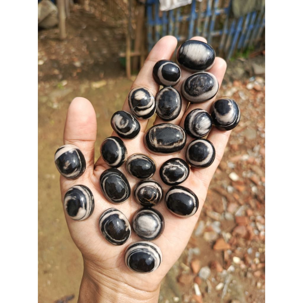 Batu galih kelor aktif Grosir (20 pcs) motif campuran Top HQ