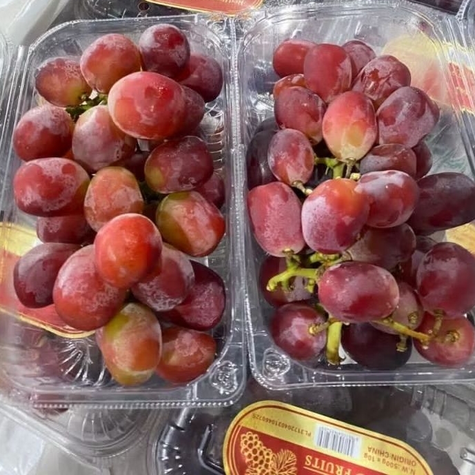 Anggur Red Muscat anggur merah 500gr