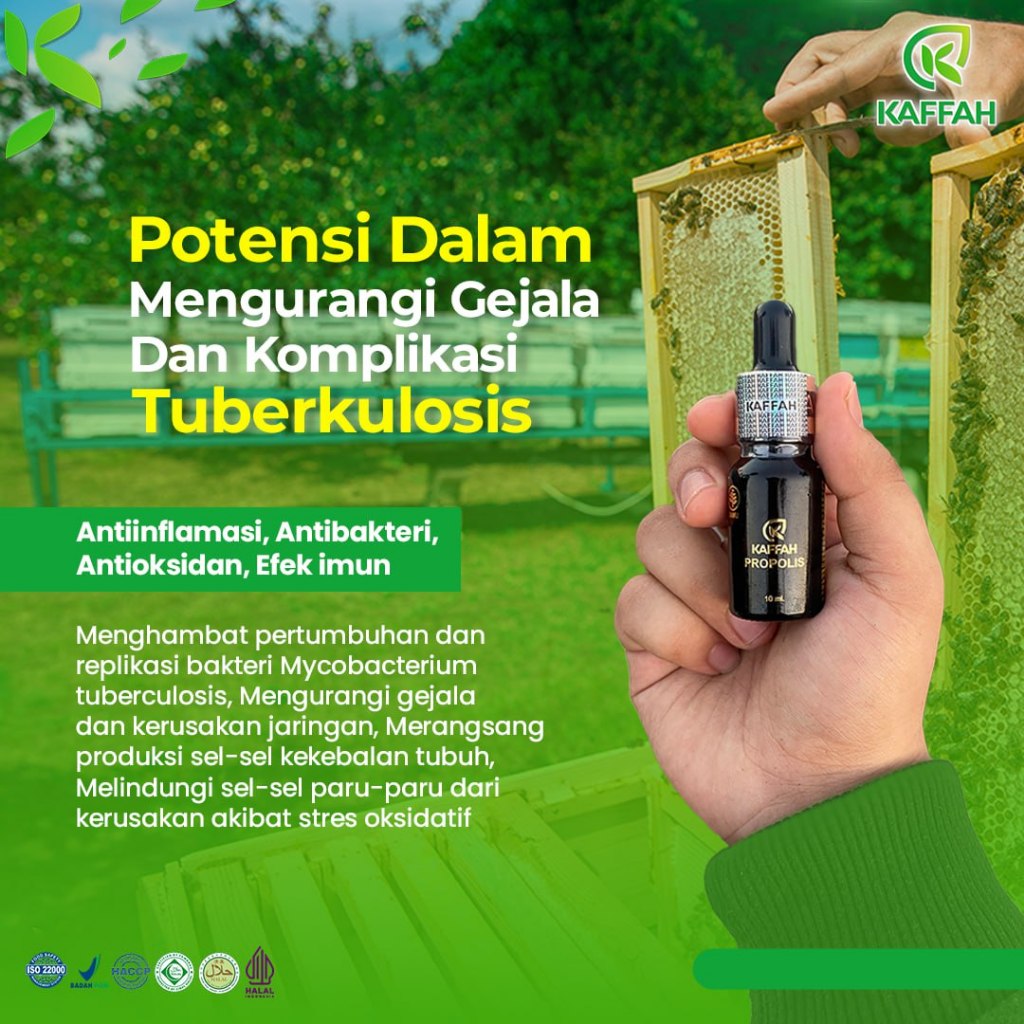 Kaffah Propolis Nano 10ml Herbal TBC