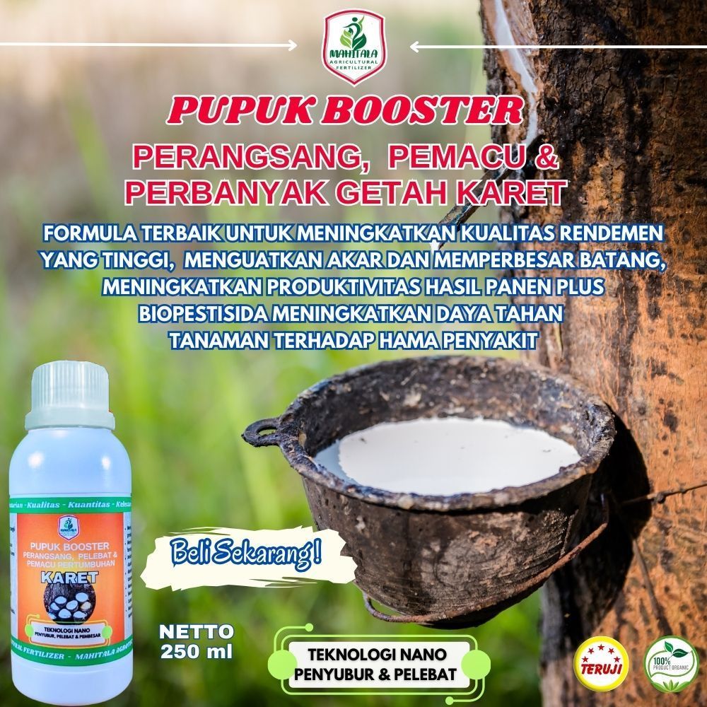Pupuk Karet Mati Getah Pupuk Cair Perbanyak Getah Karet Obat Penderas Getah Karet Pupuk Pohon Karet