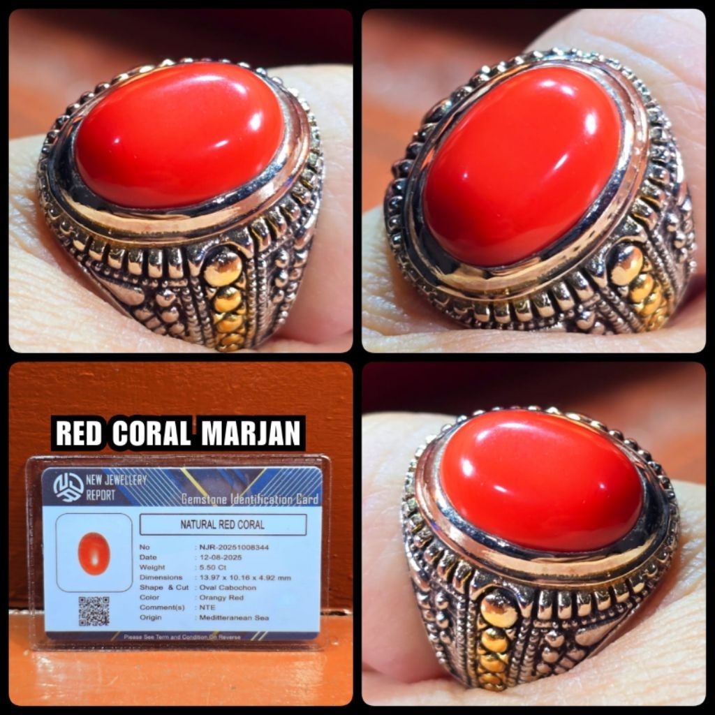 natural batu Marjan asli laut merah mediterranean