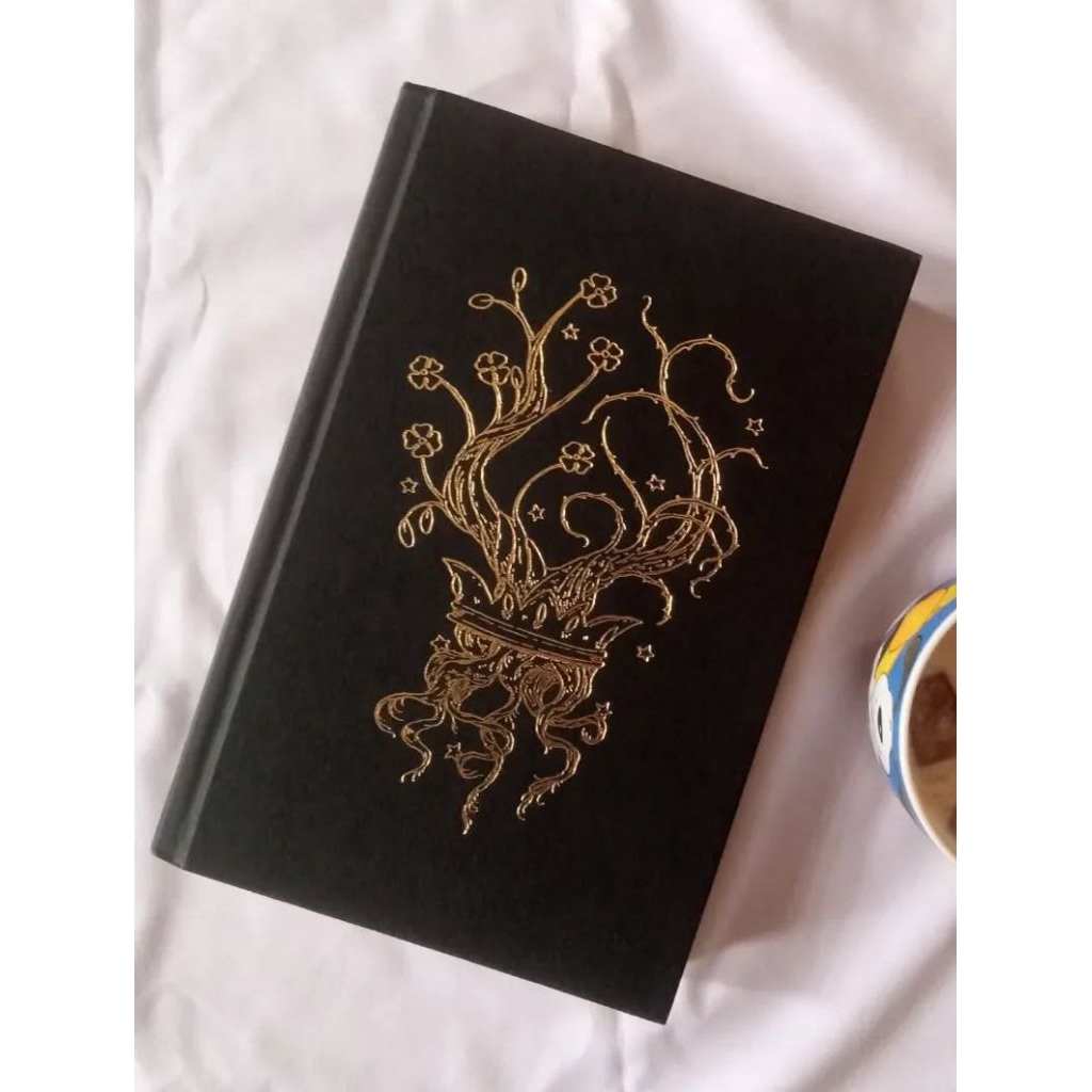 BOOKED preloved The Cruel Prince