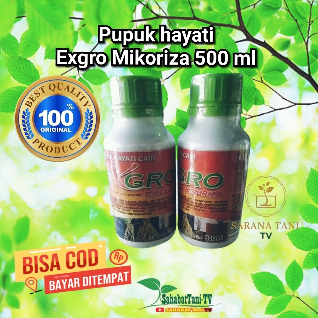 Exgro Mikoriza 500 ml adalah pupuk hayati cair yang mengandung cendawan mikoriza.
