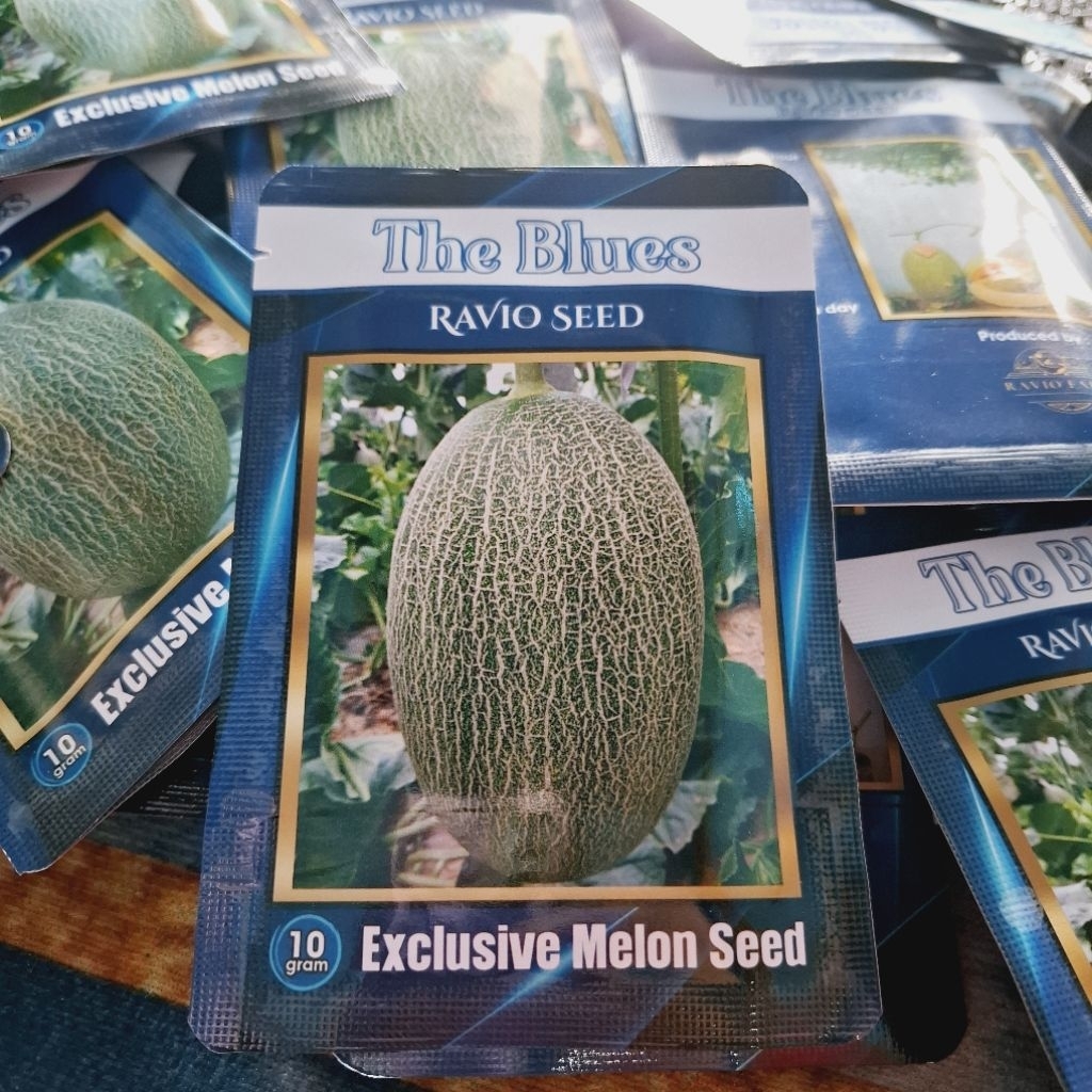 Benih Melon Premium Sweet Hami The blues