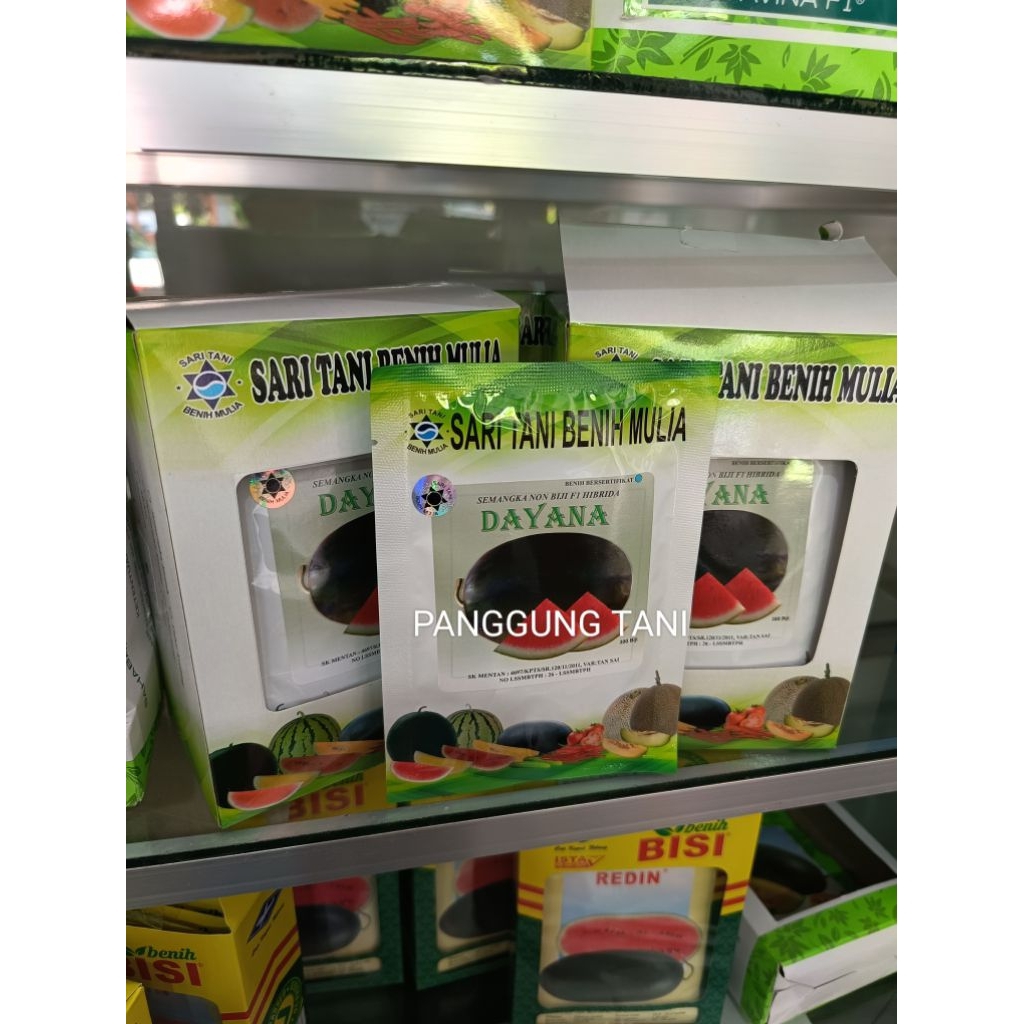 Benih Bibit Semangka Non Biji Dayana F1, Tipe jumbo Lonjong, Tahan Virus Isi 300 Butir Kadaluarsa 20