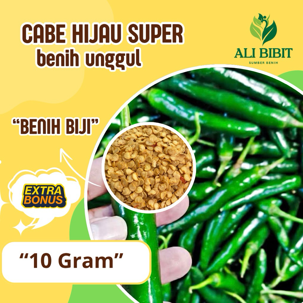 10 Gram > Biji Cabe Besar Hijau >Bibit Benih Cabe