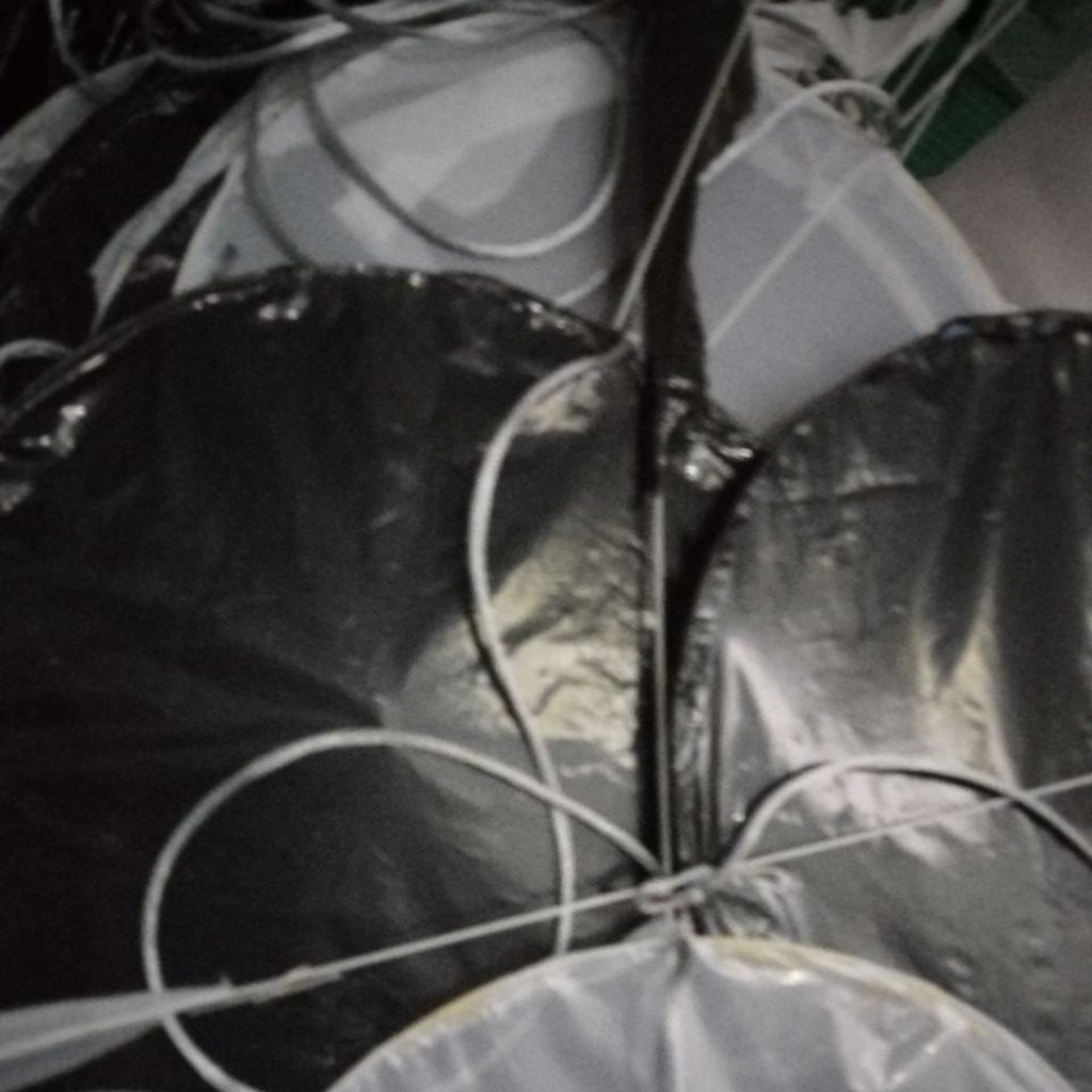 kepingan layagan naga