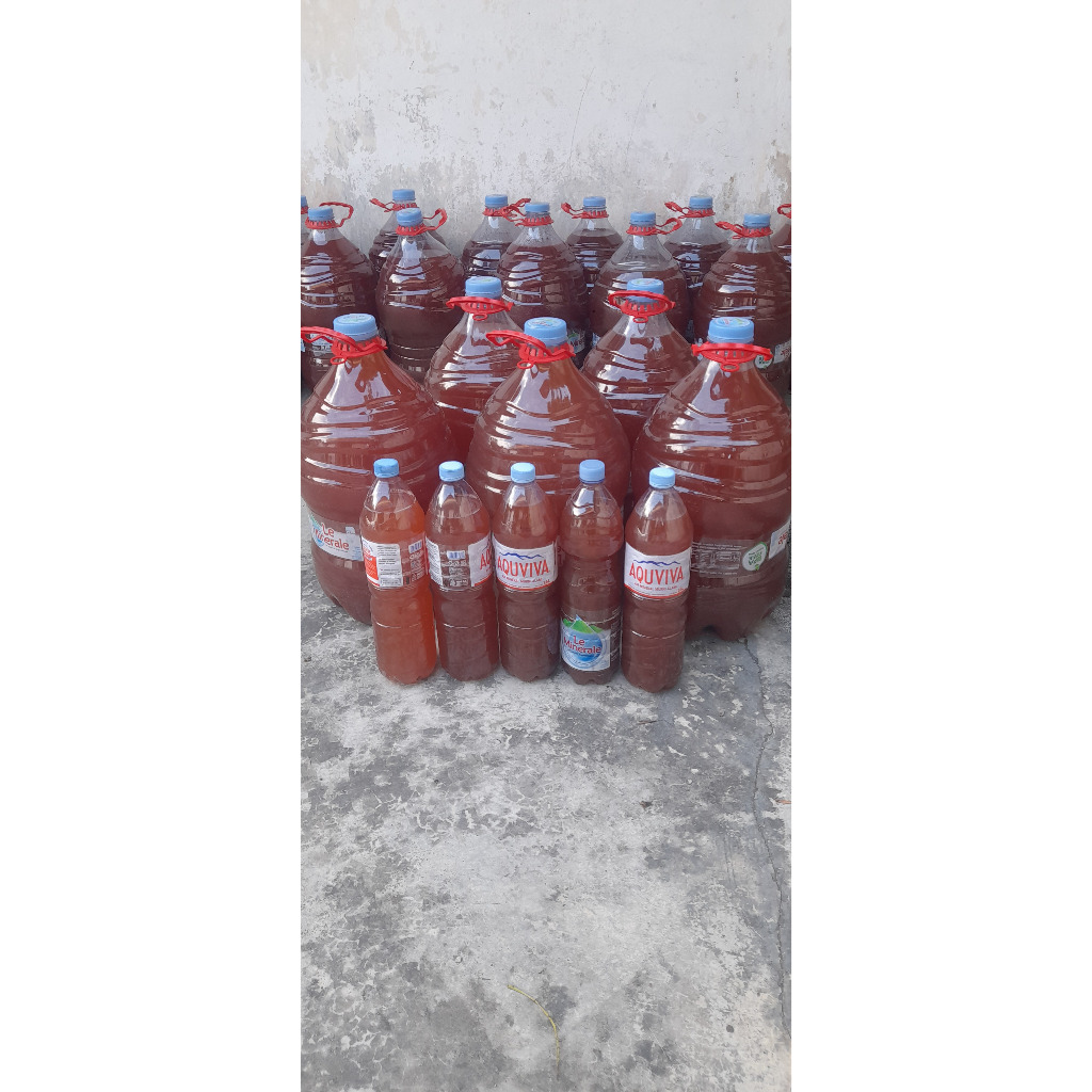 PROMO MURAH 5 Liter  P.O.C. Bacteri Photoshyntetic ( PSB ) Pupuk Organik Cair / Biang PSB / Biang Pu