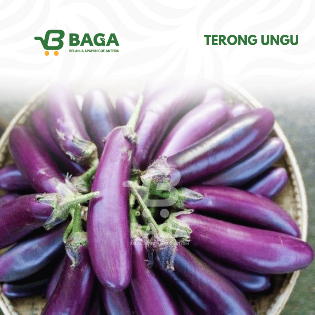 Terong Ungu BAGA Mart | Terong Ungu Segar | Terong Ungu Panjang