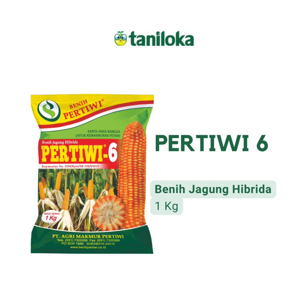 Benih Pertiwi - Benih Jagung Pertiwi 6 (1 Kg)