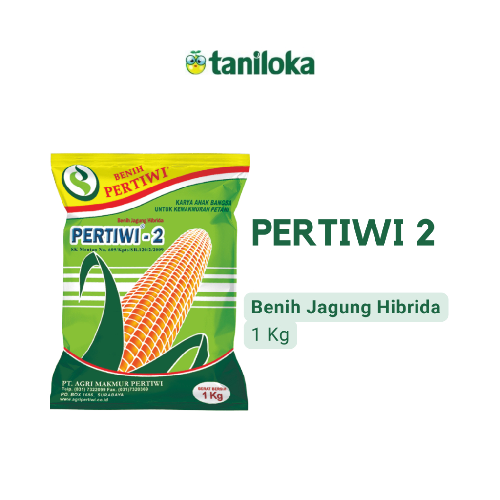 Benih Pertiwi - Benih Jagung Pertiwi 2 (1 Kg)