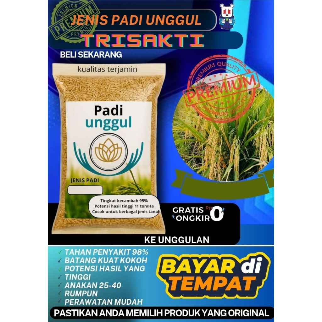 BENIH PADI TRISAKTI UMUR GENJAH 75 HST 5KG