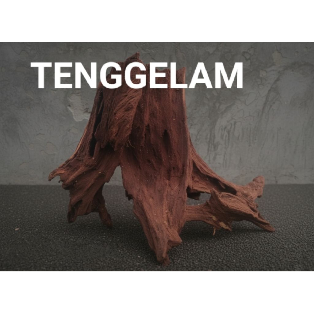 KAYU TENGGELAM AQUASCAPE (AQUARIUM)