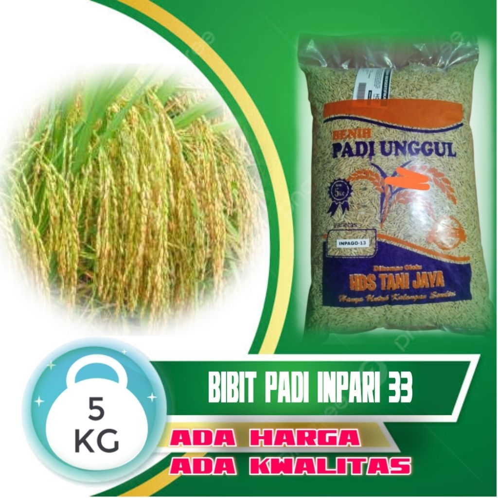 BIBIT PADI VARIETAS INPARI 33 KEMASAN 5KG