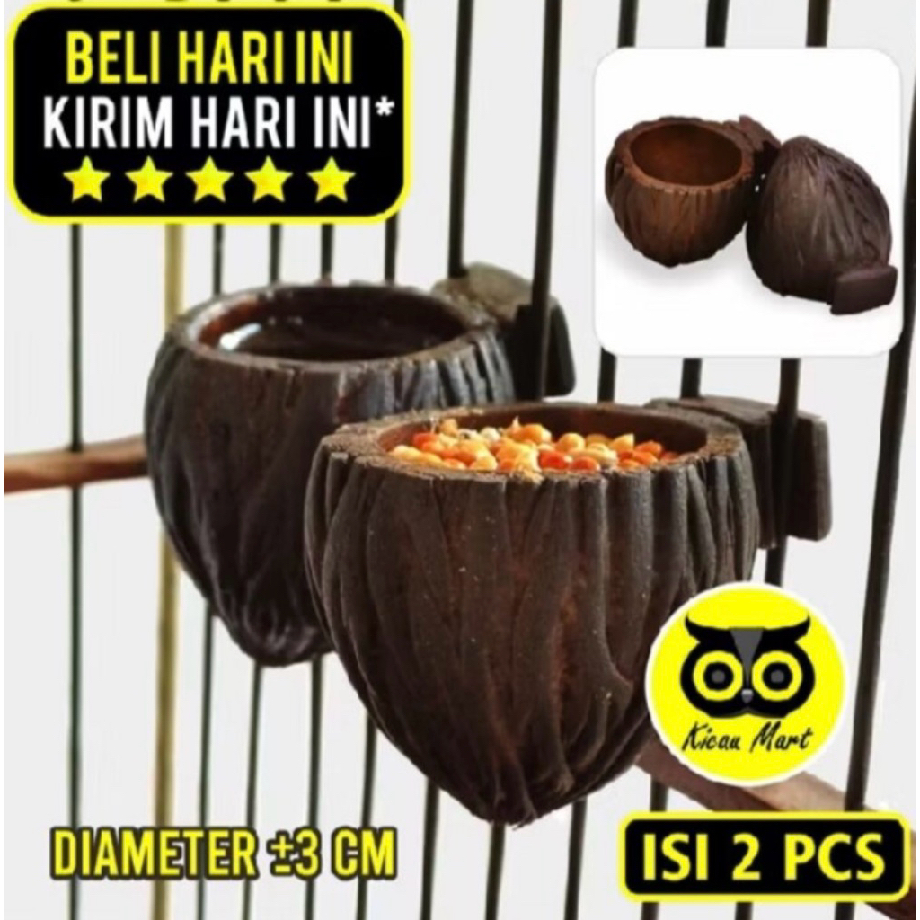 Cungkok tempat minum pleci sepasang/tempat minum/pleci