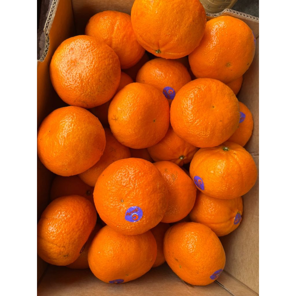 Jeruk Mandarin Honey Murcot Australia 1kg Manis Segar