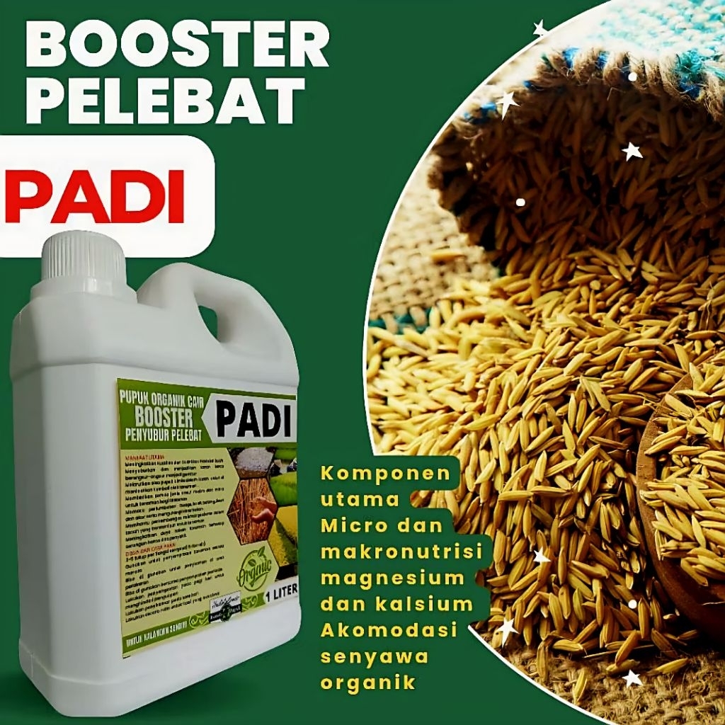 Pupuk Padi Cair ORGANIK Kualitas SUPER - Cepat Lebat Cepat Panen